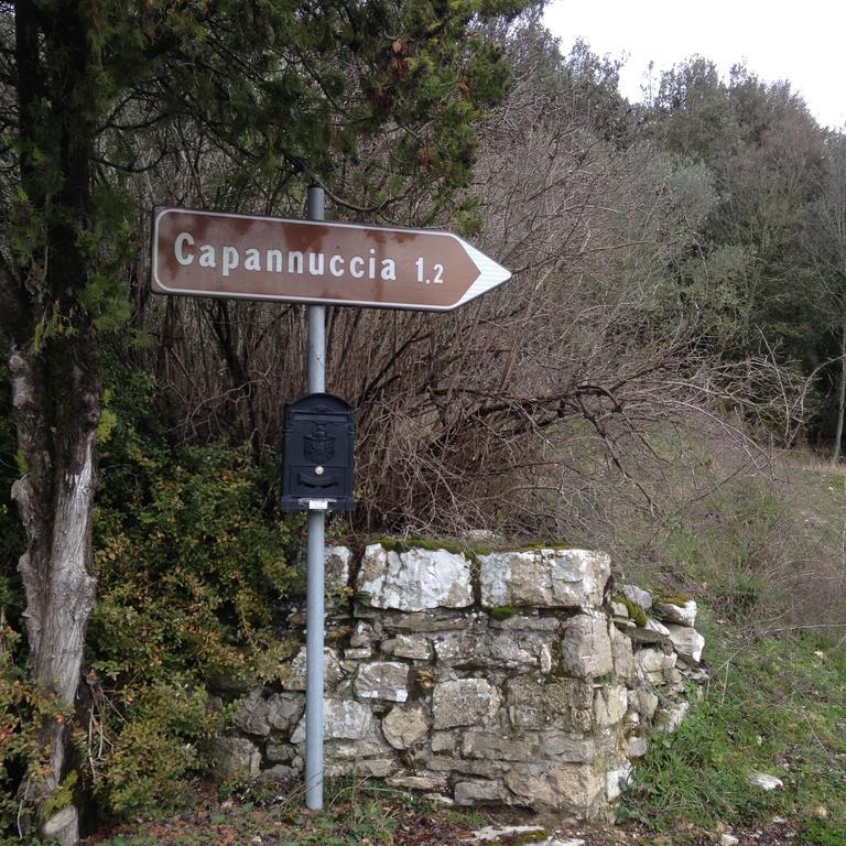 Villa Capannuccia Castellina in Chianti Zewnętrze zdjęcie