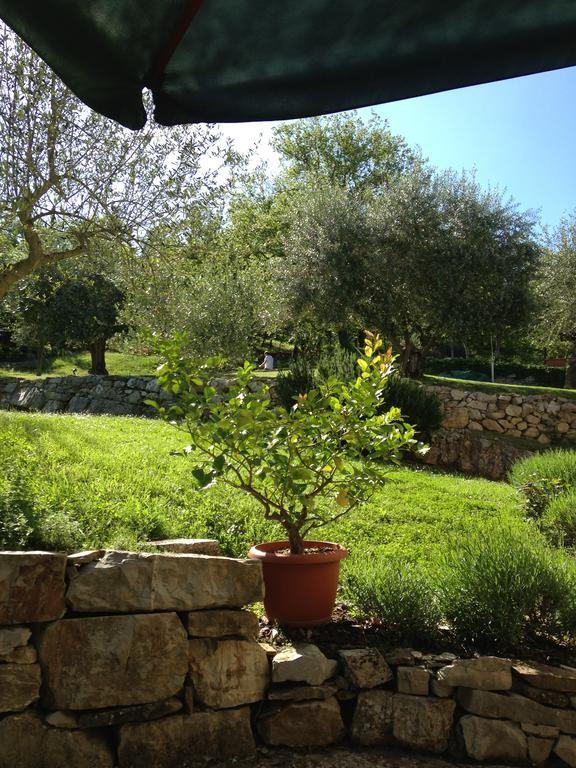 Villa Capannuccia Castellina in Chianti Zewnętrze zdjęcie